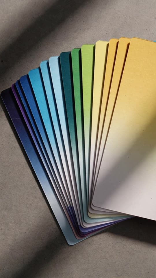 Identity study — colour chip sequence