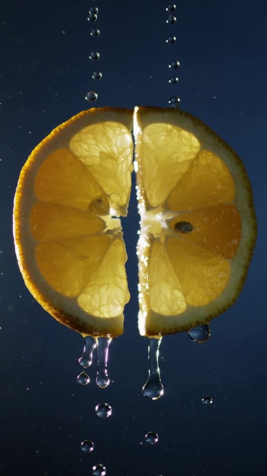 Seasonal campaign — backlit citrus macro